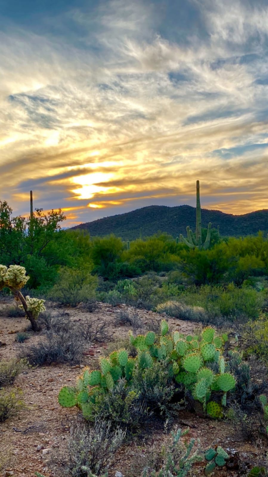 Top 7 Things To Do In Tucson, Arizona 
