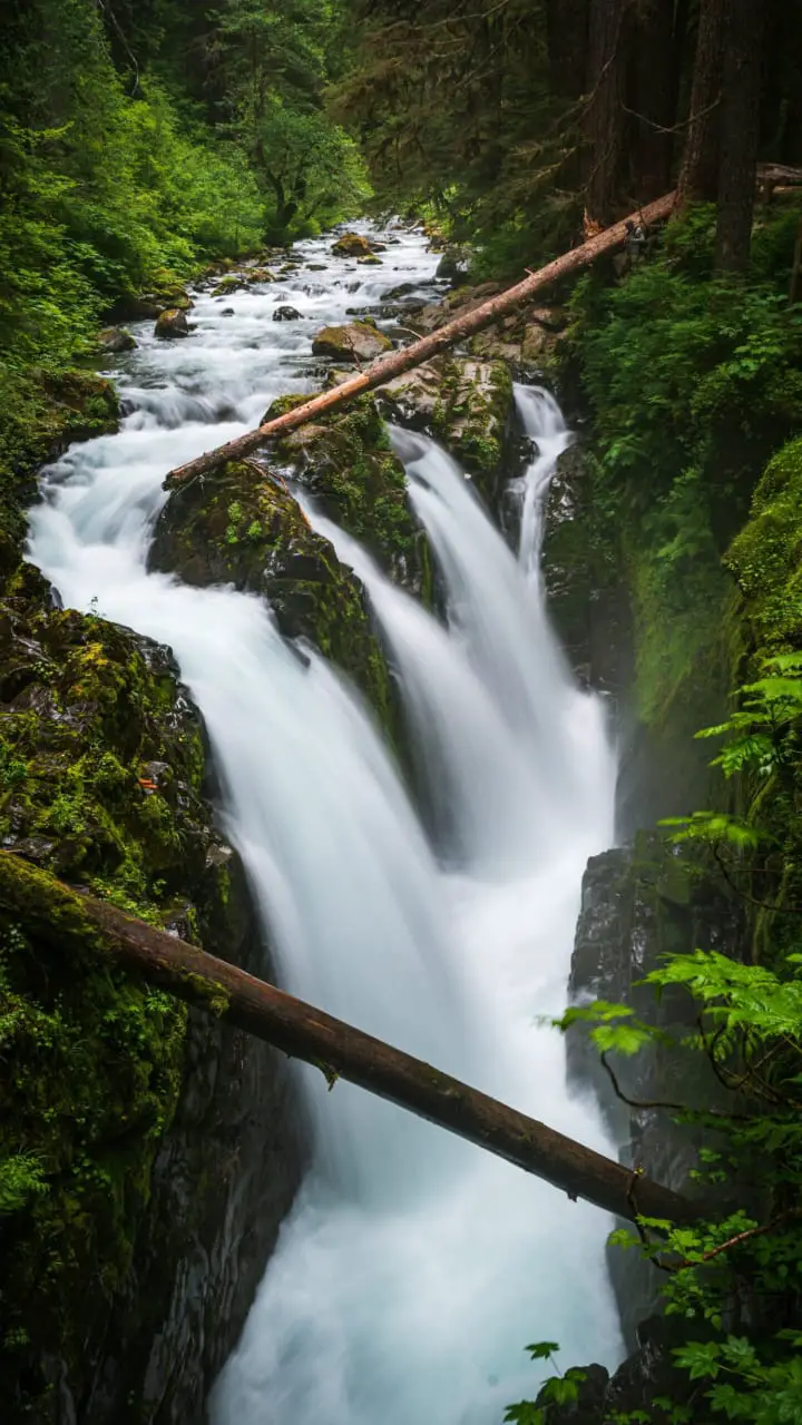 7 Facts About Olympic National Park, Washington 