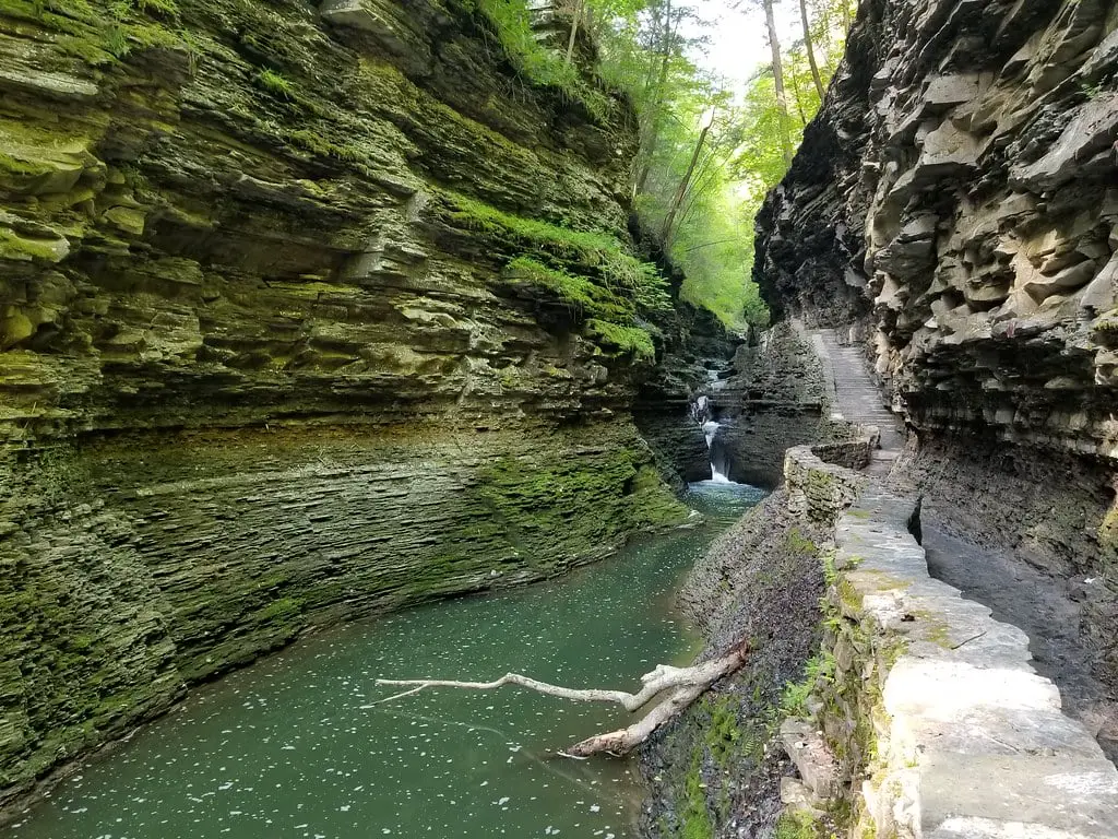 Watkins Glen State Park