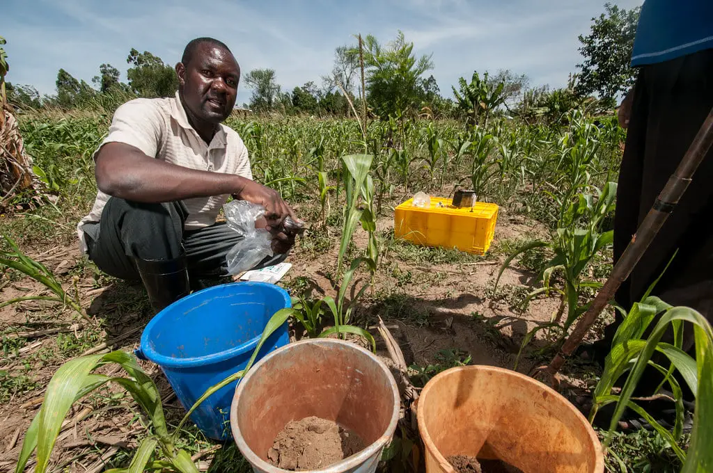 Soil health