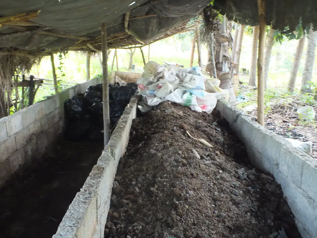 organic fertilizer