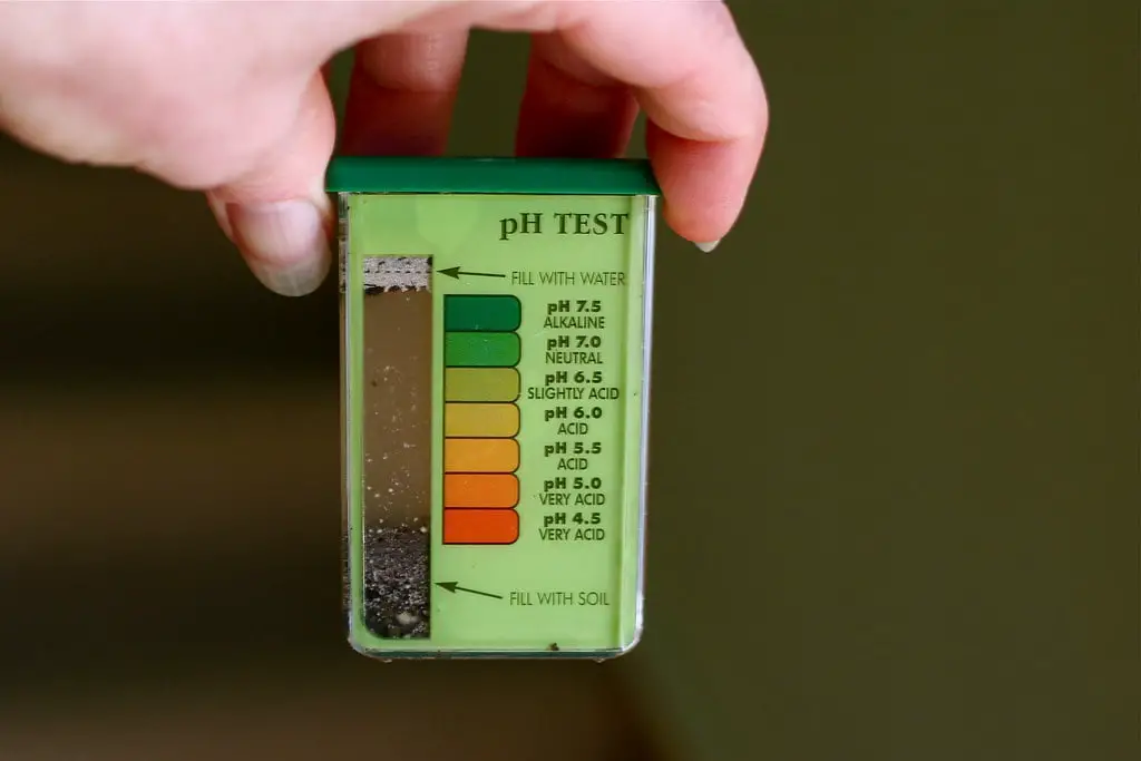 pH Test of Soil