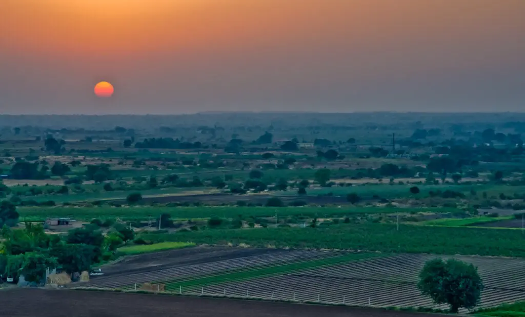 Gujarat Agriculture