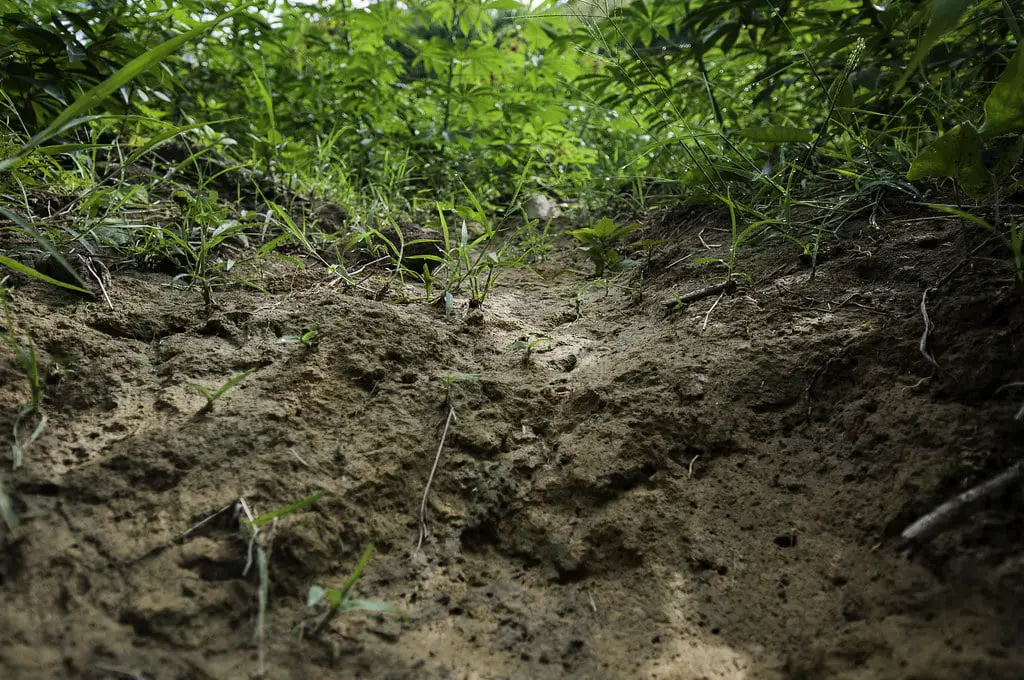 Soil Erosion