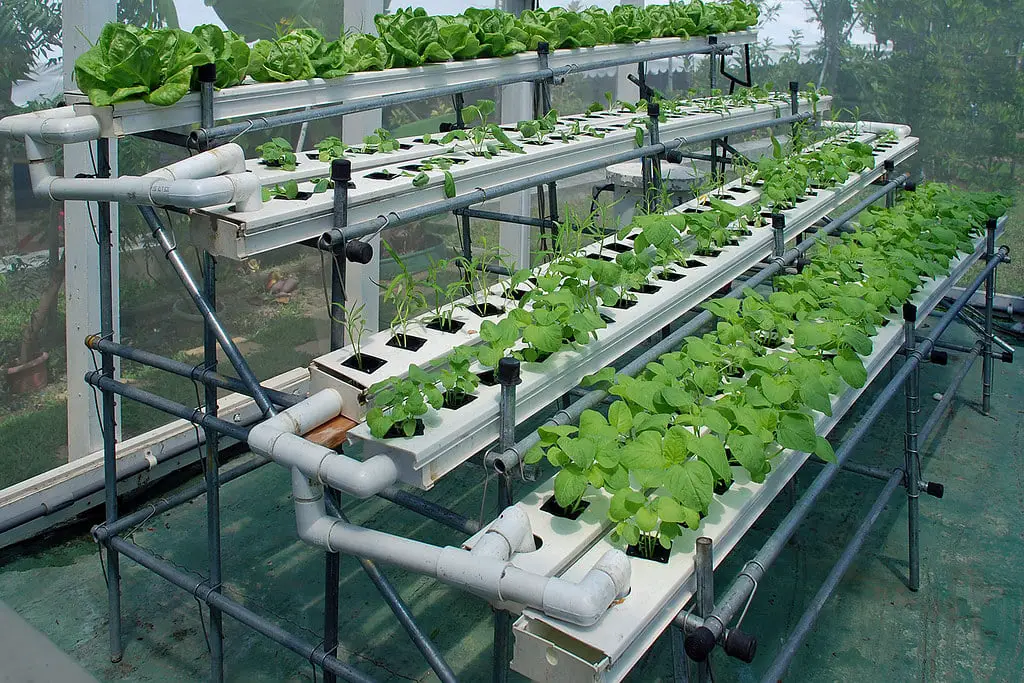 Hydroponics