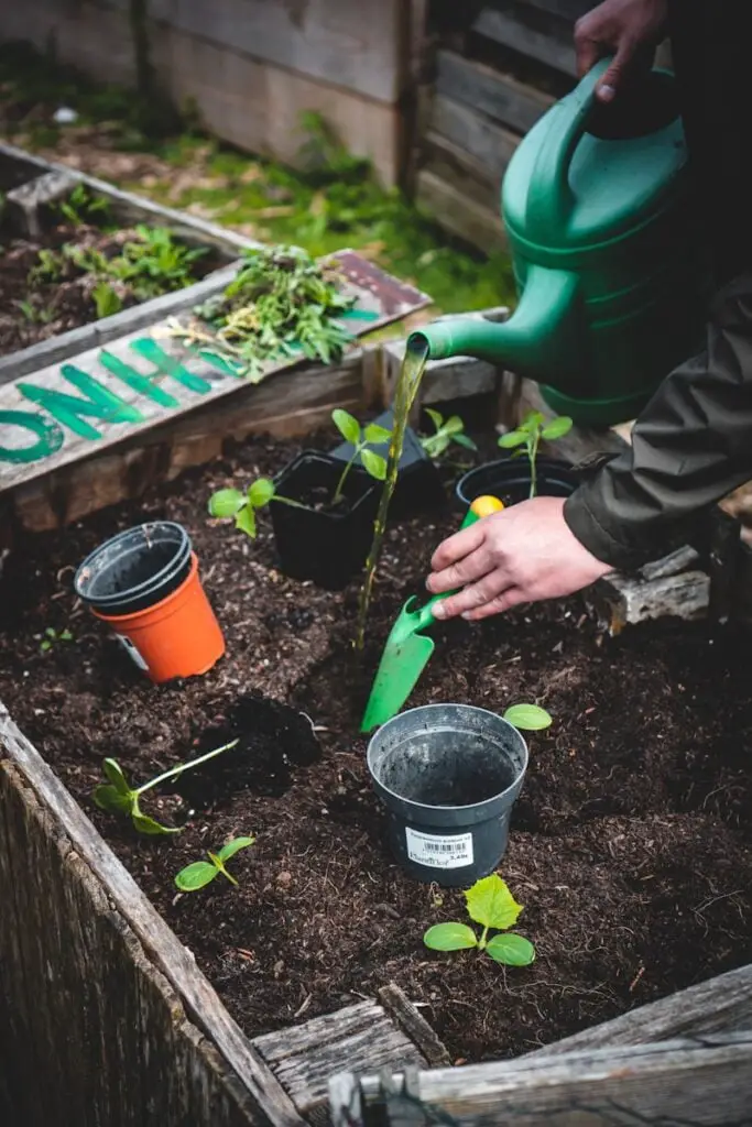 soil organic matter